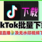 抖音TikTok一键下载器直播及无水印下载视频批量下载热门资源站 | 免费共享网盘资源平台优资源站