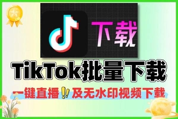 抖音TikTok一键下载器直播及无水印下载视频批量下载热门资源站 | 免费共享网盘资源平台优资源站