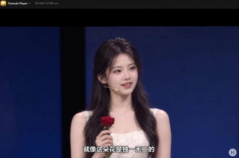 TransubPlayer_1.5.2，AI自动生成双语字幕，看资料学语言两不误热门资源站 | 免费共享网盘资源平台优资源站